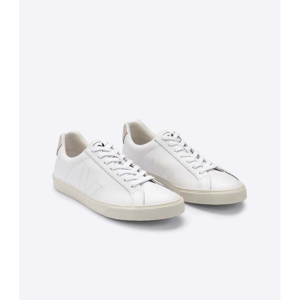 Men's Veja ESPLAR LEATHER Sneakers White | ZA 308JPQ